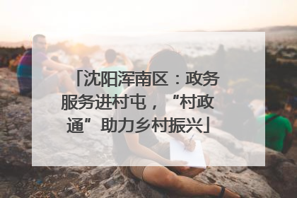 沈阳浑南区：政务服务进村屯，“村政通”助力乡村振兴