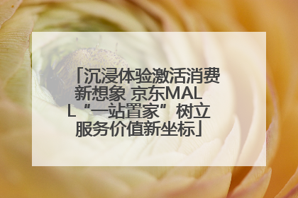 沉浸体验激活消费新想象 京东MALL“一站置家”树立服务价值新坐标