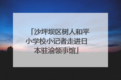 沙坪坝区树人和平小学校小记者走进日本驻渝领事馆
