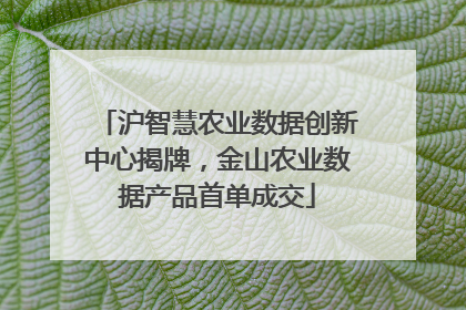 沪智慧农业数据创新中心揭牌，金山农业数据产品首单成交