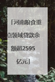 河南粮食重点领域贷款余额超2595亿元