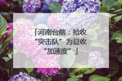 河南台前：抢收“突击队”为夏收“加速度”
