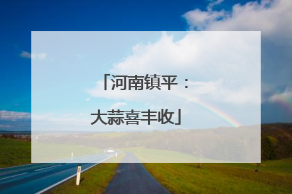 河南镇平：大蒜喜丰收