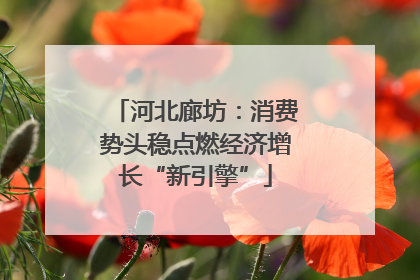 河北廊坊：消费势头稳点燃经济增长“新引擎”