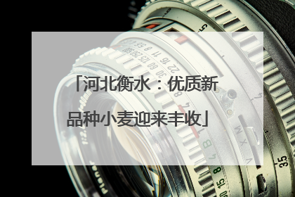 河北衡水：优质新品种小麦迎来丰收