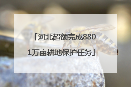 河北超额完成8801万亩耕地保护任务