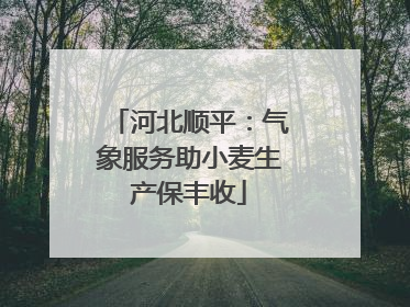河北顺平：气象服务助小麦生产保丰收
