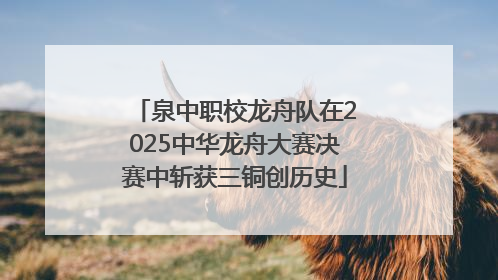 泉中职校龙舟队在2025中华龙舟大赛决赛中斩获三铜创历史