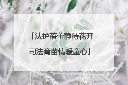法护蓓蕾静待花开 司法育苗情暖童心