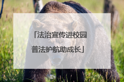 法治宣传进校园 普法护航助成长