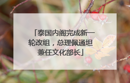 泰国内阁完成新一轮改组，总理佩通坦兼任文化部长