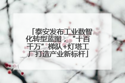 泰安发布工业数智化转型蓝图，“十百千万”梯队+灯塔工厂打造产业新标杆