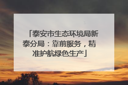泰安市生态环境局新泰分局：靠前服务，精准护航绿色生产