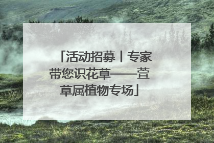 活动招募丨专家带您识花草——萱草属植物专场