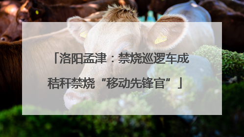 洛阳孟津：禁烧巡逻车成秸秆禁烧“移动先锋官”