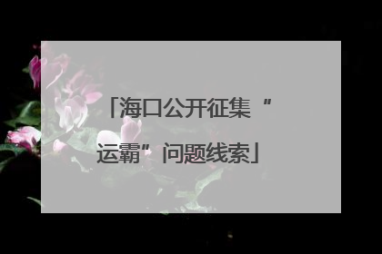 海口公开征集“运霸”问题线索