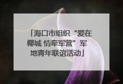 海口市组织“爱在椰城 情牵军营”军地青年联谊活动