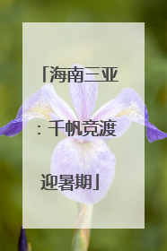 海南三亚：千帆竞渡迎暑期