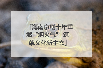 海南京剧十年重燃“烟火气” 筑就文化新生态