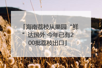 海南荔枝从果园“鲜”达国外 今年已有200批荔枝出口