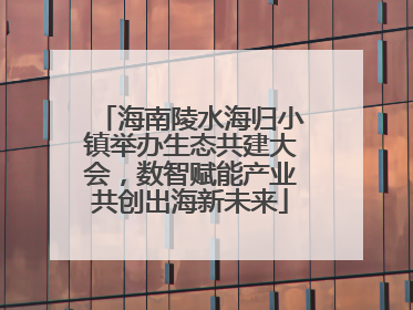 海南陵水海归小镇举办生态共建大会，数智赋能产业共创出海新未来