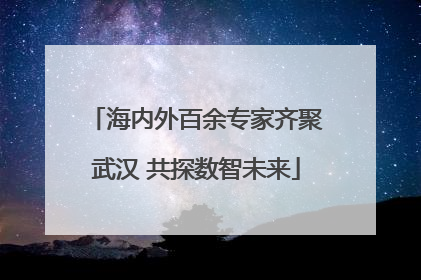 海内外百余专家齐聚武汉 共探数智未来