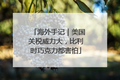 海外手记｜美国关税威力大，比利时巧克力都害怕