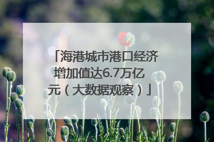 海港城市港口经济增加值达6.7万亿元（大数据观察）