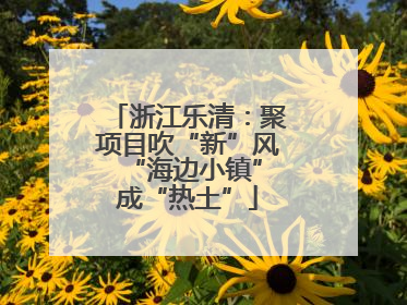 浙江乐清：聚项目吹“新”风 “海边小镇”成“热土”