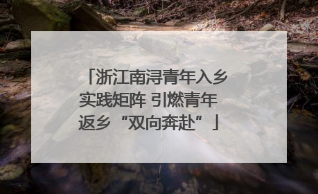 浙江南浔青年入乡实践矩阵 引燃青年返乡“双向奔赴”