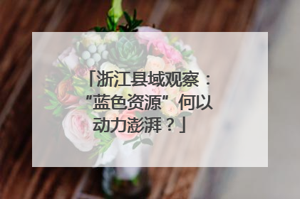 浙江县域观察：“蓝色资源”何以动力澎湃？