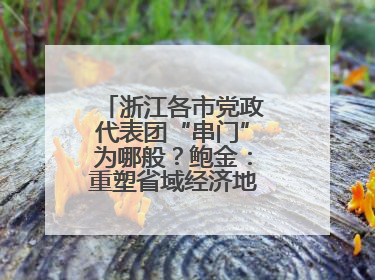 浙江各市党政代表团“串门”为哪般？鲍金：重塑省域经济地理的破题之道