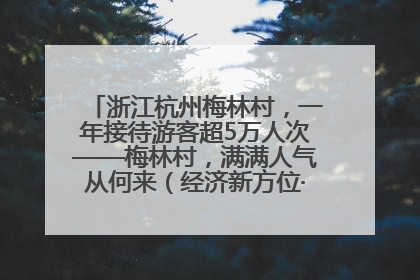 浙江杭州梅林村，一年接待游客超5万人次——梅林村，满满人气从何来（经济新方位·农村消费观察）