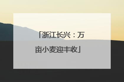 浙江长兴：万亩小麦迎丰收