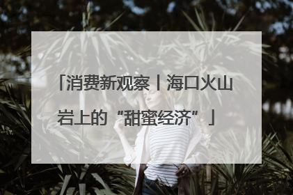 消费新观察丨海口火山岩上的“甜蜜经济”