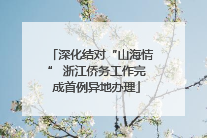 深化结对“山海情” 浙江侨务工作完成首例异地办理