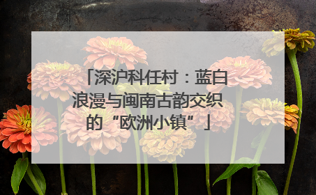 深沪科任村：蓝白浪漫与闽南古韵交织的“欧洲小镇”