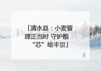 清水县：小麦管理正当时 守护粮“芯”绘丰景