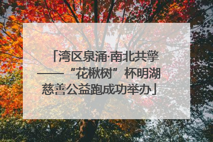 湾区泉涌·南北共擎——“花楸树”杯明湖慈善公益跑成功举办