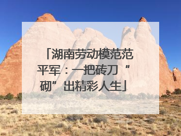 湖南劳动模范范平军：一把砖刀“砌”出精彩人生