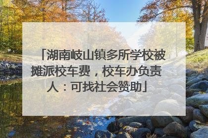 湖南岐山镇多所学校被摊派校车费，校车办负责人：可找社会赞助