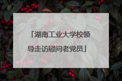 湖南工业大学校领导走访慰问老党员