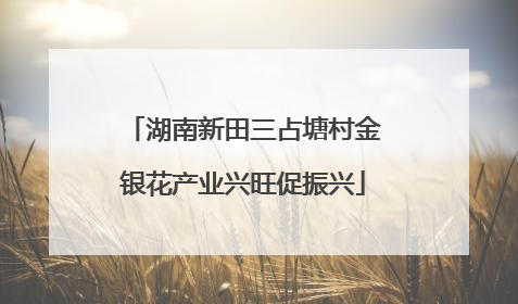 湖南新田三占塘村金银花产业兴旺促振兴
