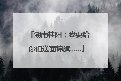 湖南桂阳：我要给你们送面锦旗……