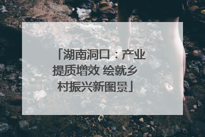 湖南洞口：产业提质增效 绘就乡村振兴新图景