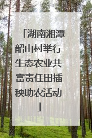 湖南湘潭韶山村举行生态农业共富责任田插秧助农活动