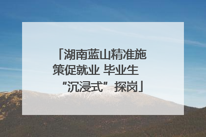 湖南蓝山精准施策促就业 毕业生“沉浸式”探岗