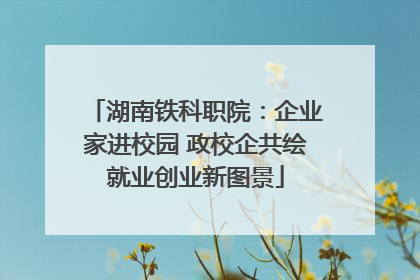 湖南铁科职院：企业家进校园 政校企共绘就业创业新图景