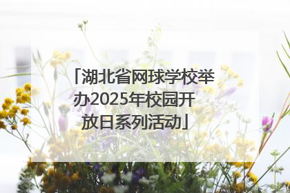 湖北省网球学校举办2025年校园开放日系列活动