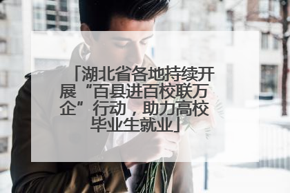 湖北省各地持续开展“百县进百校联万企”行动，助力高校毕业生就业